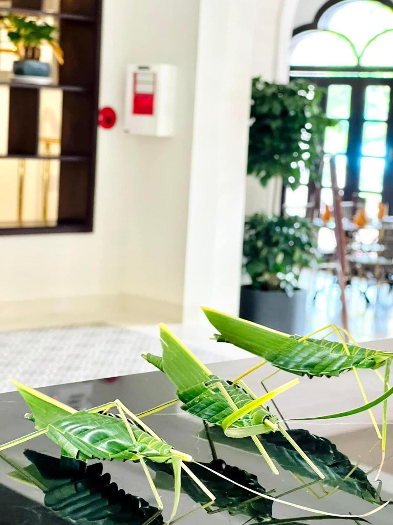 Little Residence - A Boutique Hotel & Spa Хой Ан Екстериор снимка